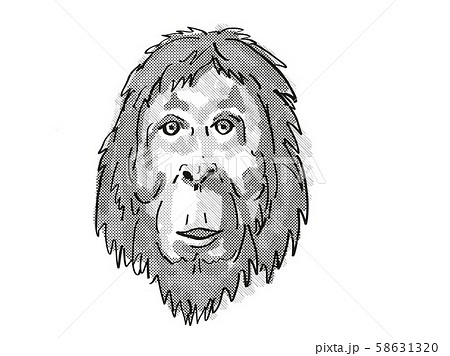 Orangutan Endangered Wildlife Cartoon Retro 58631320