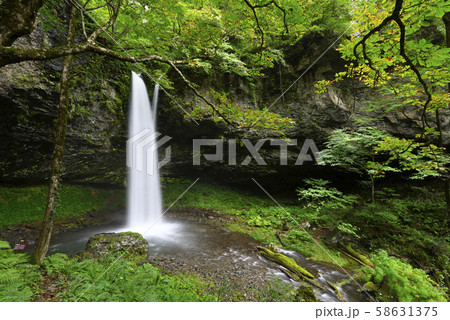 大鹿滝（鳥取県若桜町広留野） 58631375