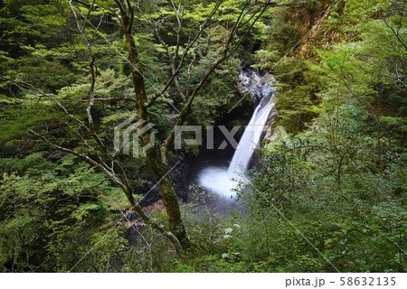 大釜の滝(徳島県那賀郡) 大釜の滝(徳島県那賀郡) 58632135