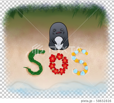 レスキュー隊の応援を要請するペンギンさん(海藻・花・貝殻) レスキュー隊の応援を要請するペンギンさん(海藻・花・貝殻) 58632816