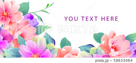 牡丹 ぼたん しゃくやく 58633064