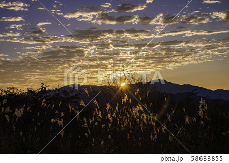 【山梨県】八ヶ岳・美し森　朝焼けの雲・イメージ 58633855