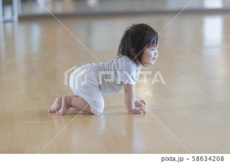 1 year old 1 year old 58634208