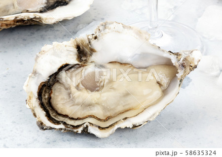 A large oyster, fresh and raw, close-up with ice 58635324