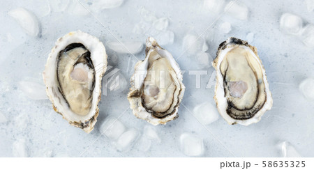 Fresh raw oysters on ice, overhead panoramic close-up shot 58635325
