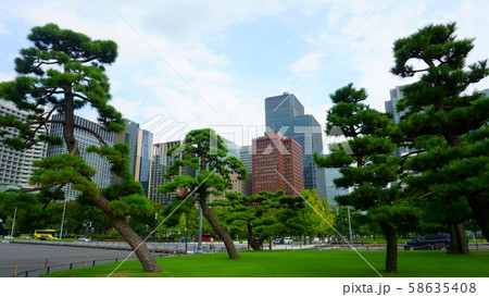 Pine trees and skyscrapers. High rise buildings in Chiyoda. Chiyoda-ku is a special ward located in central Tokyo 58635408