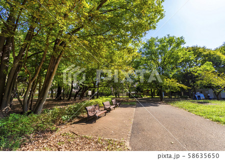 林試の森公園の風景 58635650