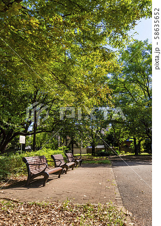 林試の森公園の風景 58635652