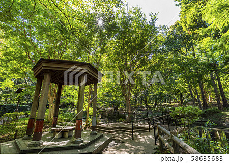 林試の森公園の風景 池と東屋 58635683