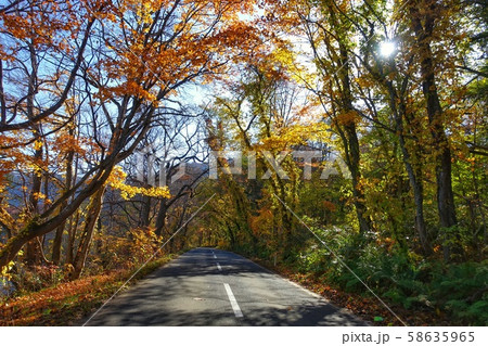 紅葉する十和田湖への道 58635965