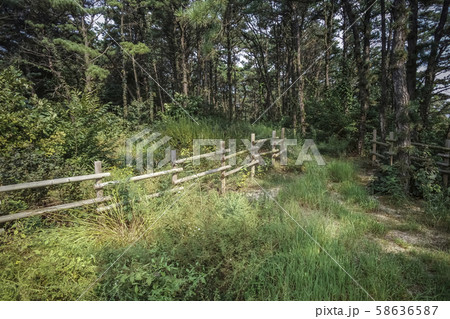 漣川郡 京畿道 キョンギド 58636587