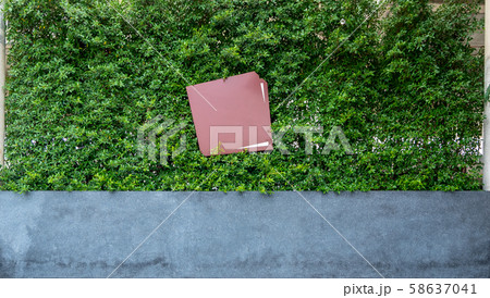 Blank metal label on decorated wall by green tree Blank metal label on decorated wall by green tree 58637041