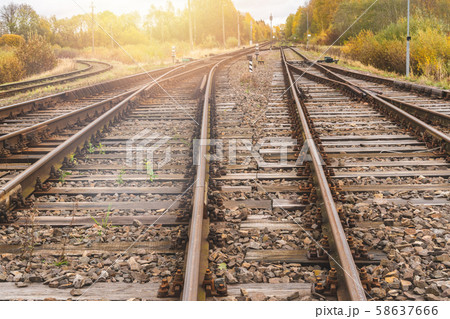 Railway in autumn forest 58637666