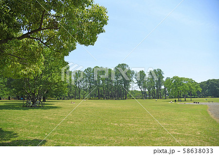 東京都小金井市　小金井公園　いこいの広場 58638033