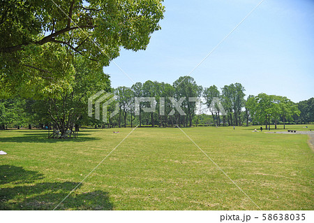 東京都小金井市　小金井公園　いこいの広場 58638035