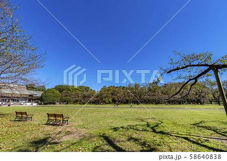 小金井公園 たてもの園前広場の風景 小金井公園 たてもの園前広場の風景 58640838