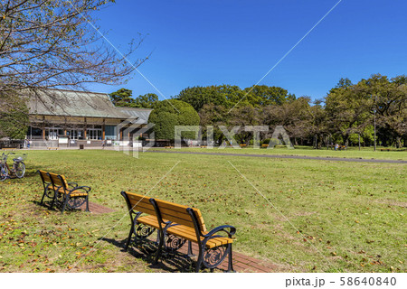 小金井公園 たてもの園前広場の風景 58640840