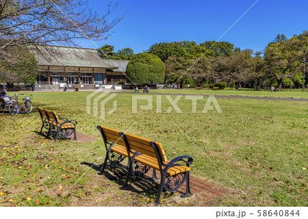 小金井公園 たてもの園前広場の風景 小金井公園 たてもの園前広場の風景 58640844
