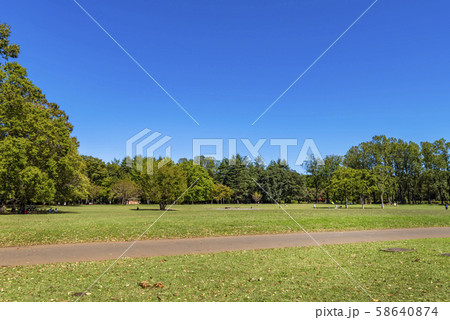 小金井公園 いこいの広場の風景 58640874