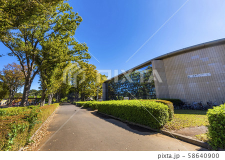 小金井公園市総合体育館 58640900