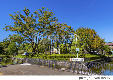 小金井公園と江戸東京たてもの園の風景 58640915