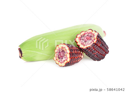uncooked sweet purple corn on white background 58641042