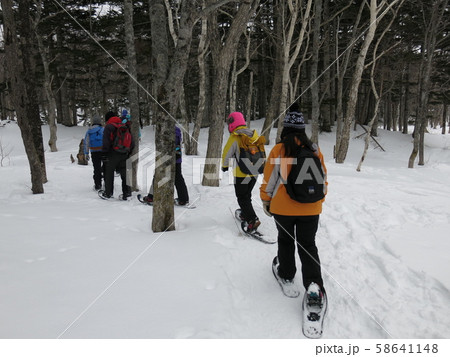 冬の知床五湖エコツアー（フィールドハウス～五湖の間の原生林をスノーシューで散策している風景） 58641148
