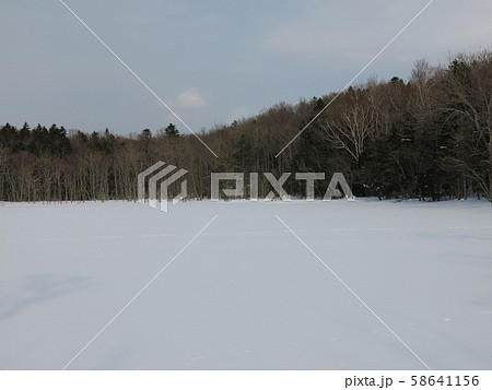 雪に覆われた知床五湖の五湖（冬の知床五湖エコツアー参加中に撮影したもの） 58641156