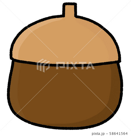 どんぐり 秋 木の実のイラスト素材