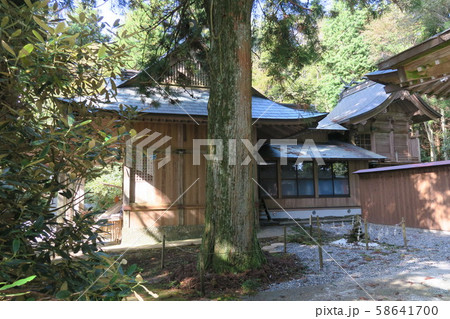 西照神社の拝殿と本殿　徳島県美馬市 58641700