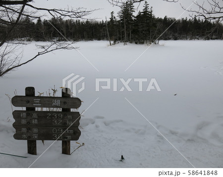 雪に覆われた知床五湖の三湖(冬の知床五湖エコツアー参加中に撮影したもの) 雪に覆われた知床五湖の三湖(冬の知床五湖エコツアー参加中に撮影したもの) 58641848