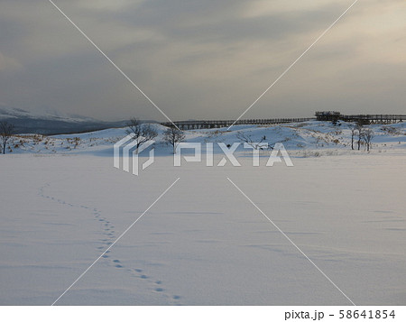 雪に覆われた知床五湖の一湖（冬の知床五湖エコツアー参加中に撮影したもの） 58641854