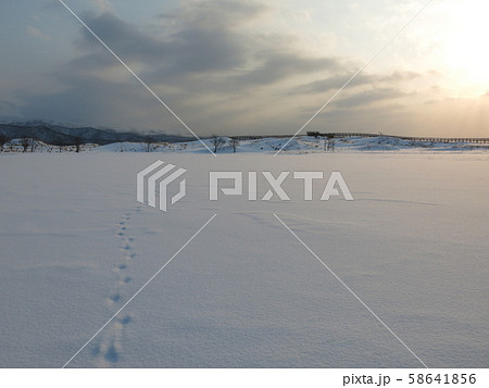 雪に覆われた知床五湖の一湖(冬の知床五湖エコツアー参加中に撮影したもの) 雪に覆われた知床五湖の一湖(冬の知床五湖エコツアー参加中に撮影したもの) 58641856