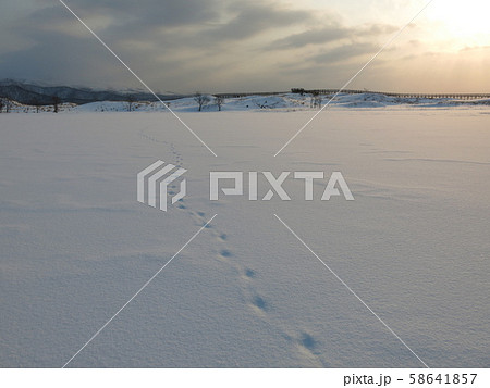 雪に覆われた知床五湖の一湖(冬の知床五湖エコツアー参加中に撮影したもの) 雪に覆われた知床五湖の一湖(冬の知床五湖エコツアー参加中に撮影したもの) 58641857