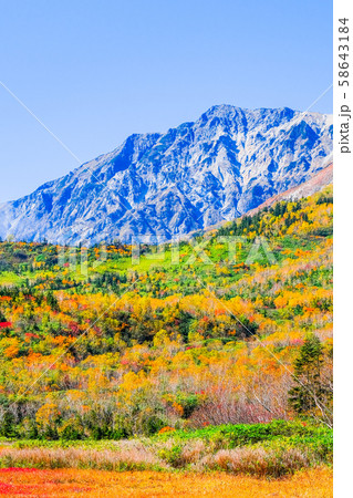 栂池自然園 （秋） 58643184