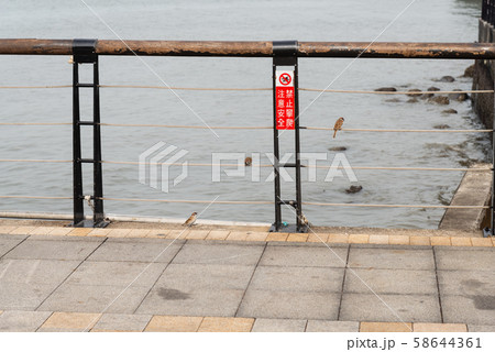 景色 風景 台湾 58644361