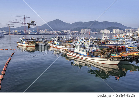 トンヨウンハン 統営市 慶南 58644528