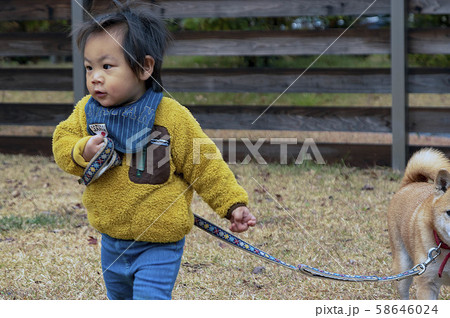 わんぱくな幼児と柴犬 58646024