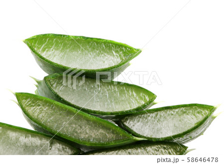 Aloe vera plant 58646478