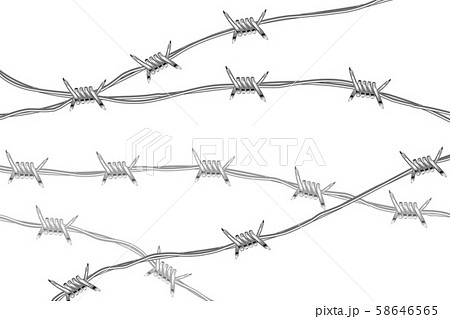Several lines of glossy realistic barbed wire isolated on white Several lines of glossy realistic barbed wire isolated on white 58646565
