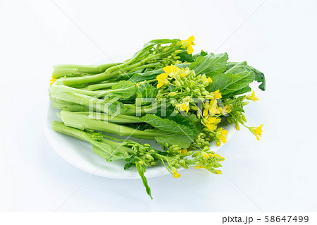 アスパラ菜 アスパラ菜 58647499
