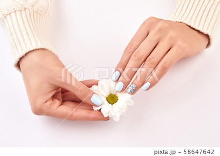 White chrysanthemum in female hands. White chrysanthemum in female hands. 58647642