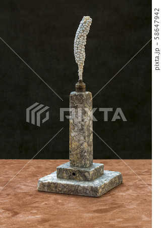 Stilllife with a white corncob on a stone pedestal 58647942