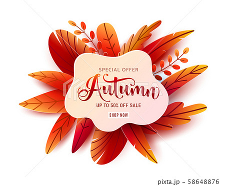Autumn sale round vector banner background. Fall ad circle shape with liquid form at the center and 58648876