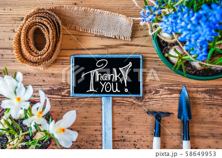 Spring Flowers, Sign, Calligraphy Thank You, Spring Flowers, Sign, Calligraphy Thank You, 58649953