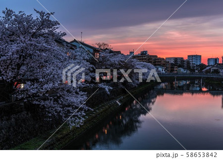桜満開の主計町夕焼け 桜満開の主計町夕焼け 58653842