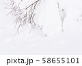 雪山　登山　バックカントリー 58655101