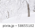 雪山　登山　バックカントリー 58655102