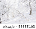 雪山　登山　バックカントリー 58655103