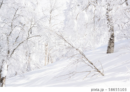 雪山　登山　バックカントリー 58655103